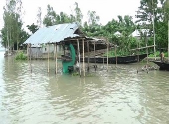 Kurigram Flood Situation p