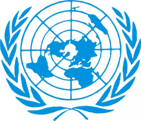 un_logo_white_bkg