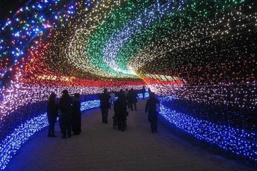 Winter-Light-Festival-Japan