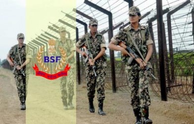 bsf_84412_97597