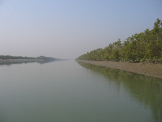 sunderbans-river bangladesh